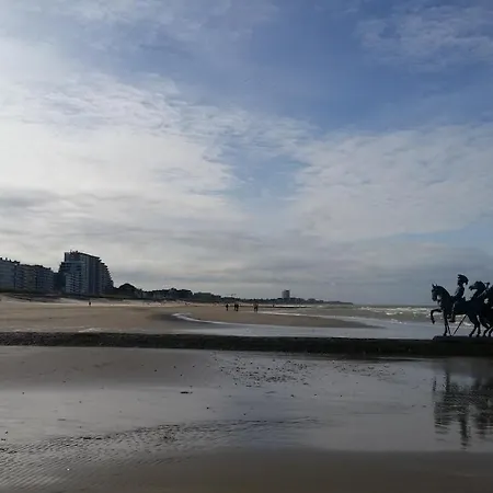 Duinhalm Nieuwpoort